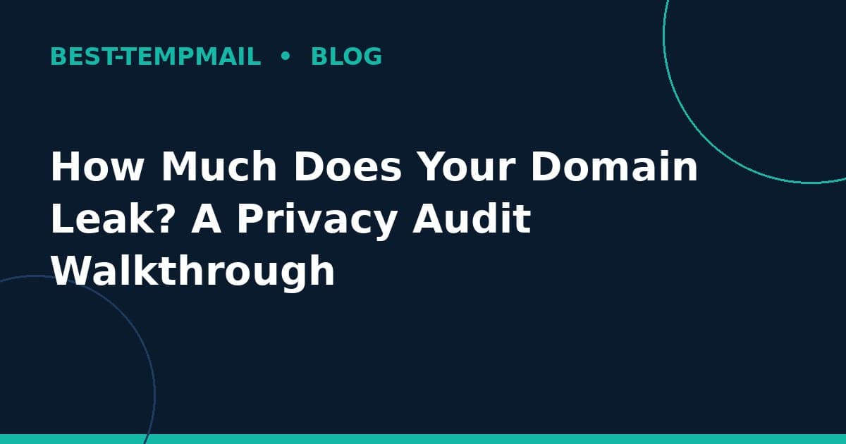 How Much Does Your Domain Leak? A Privacy Audit Walkthrough